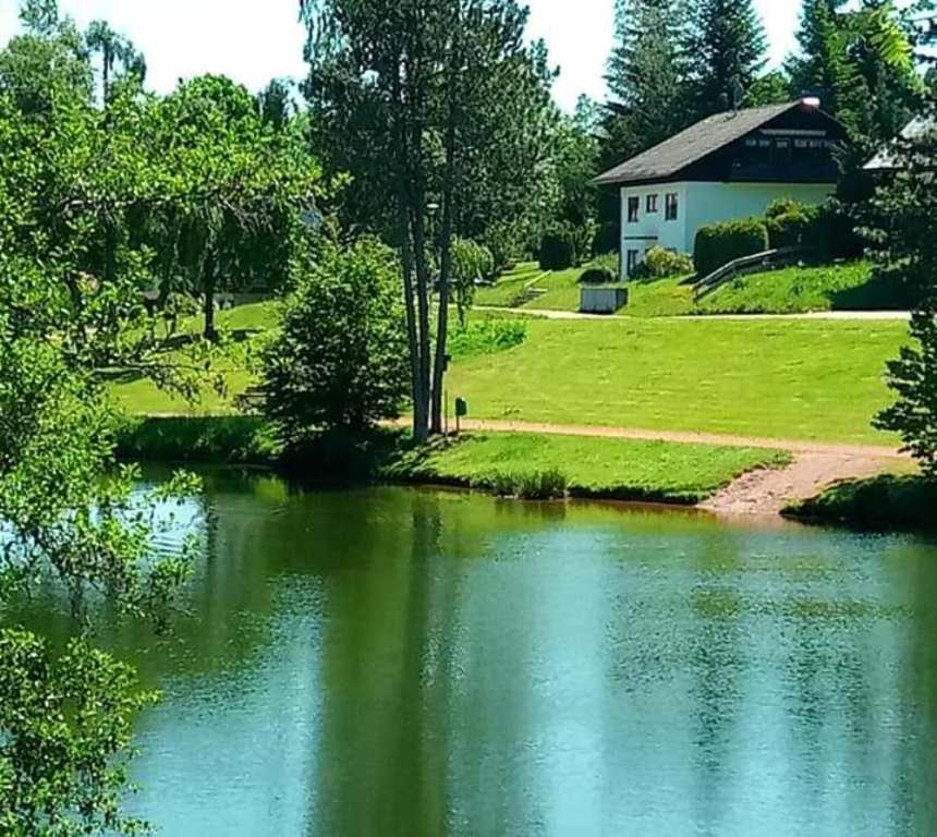 Ferienwohnungen Am Skilift Herrischried المظهر الخارجي الصورة