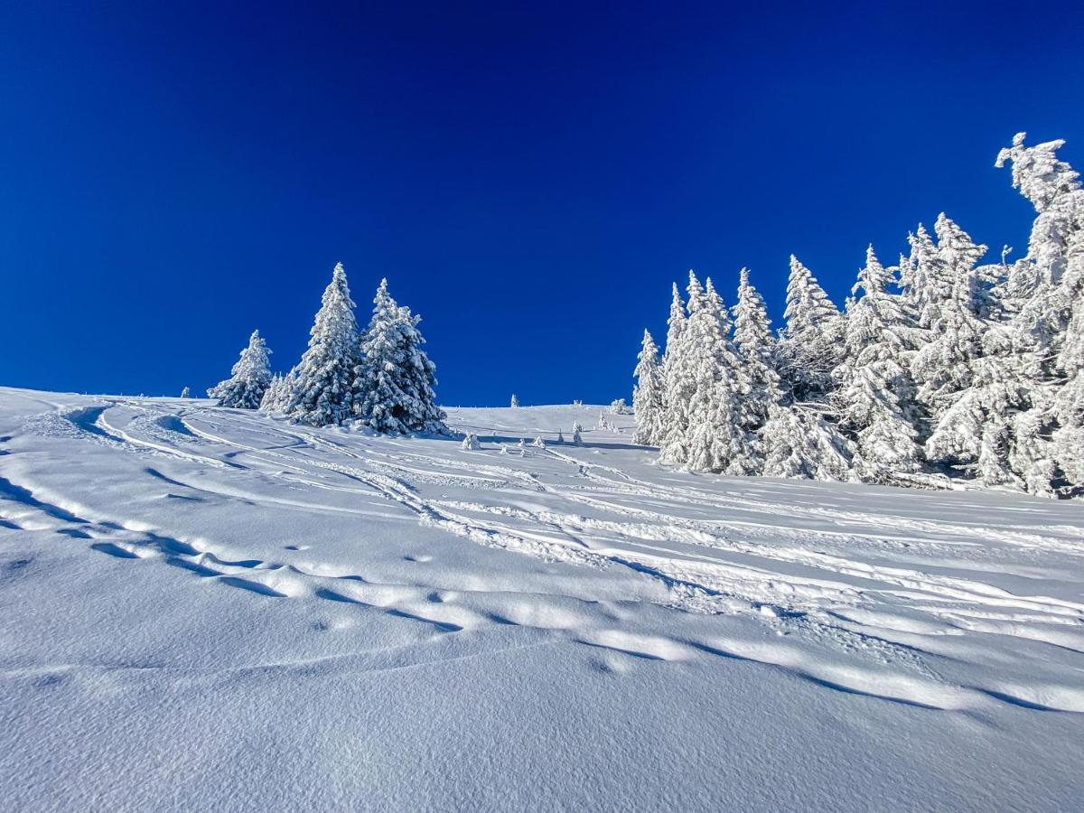 Ferienwohnungen Am Skilift Herrischried المظهر الخارجي الصورة