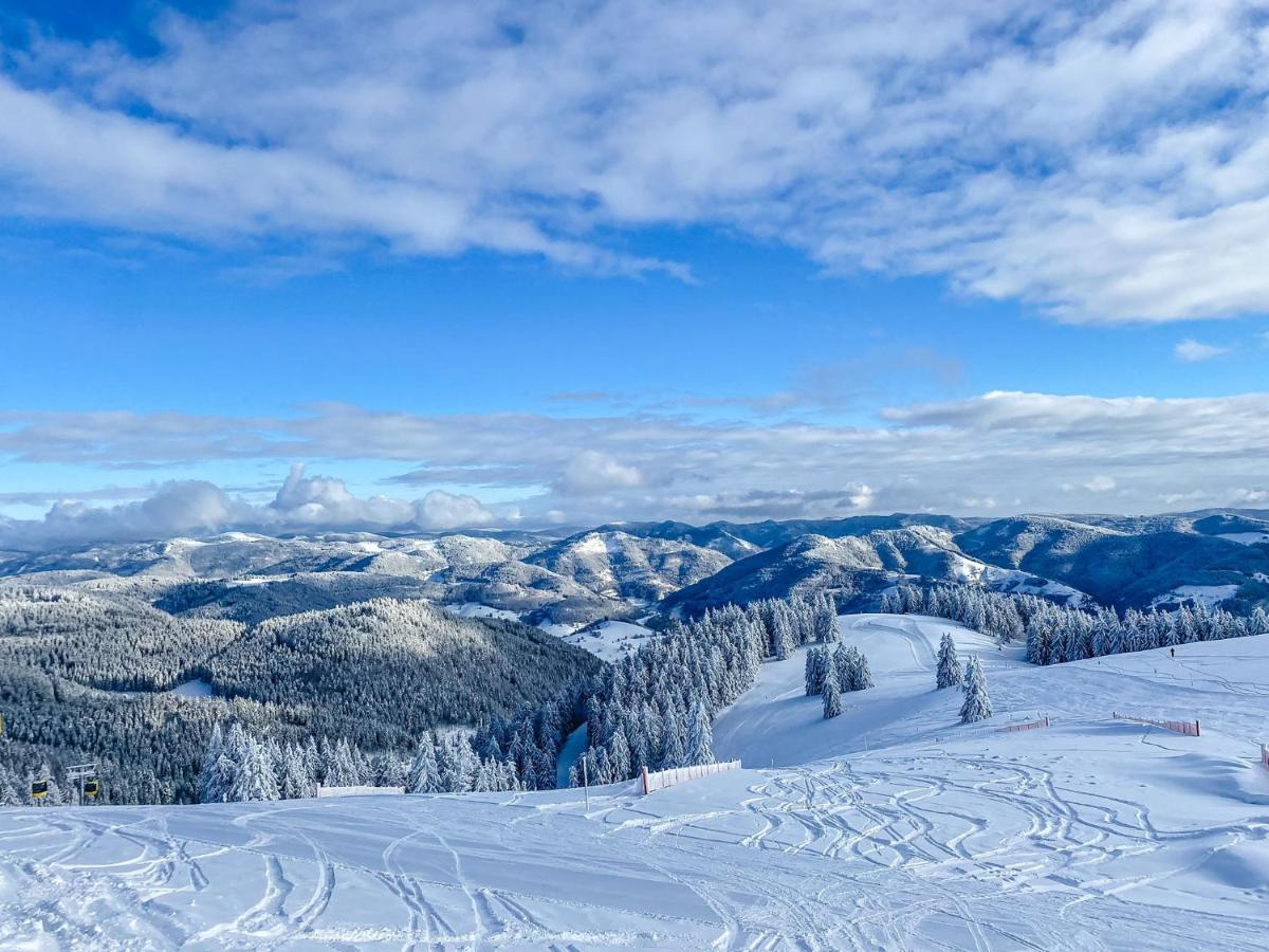 Ferienwohnungen Am Skilift Herrischried المظهر الخارجي الصورة