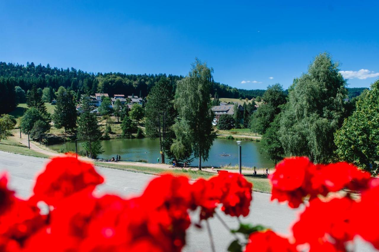 Ferienwohnungen Am Skilift Herrischried المظهر الخارجي الصورة