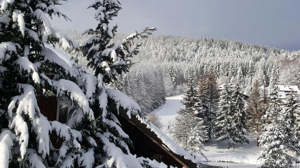Ferienwohnungen Am Skilift Herrischried المظهر الخارجي الصورة
