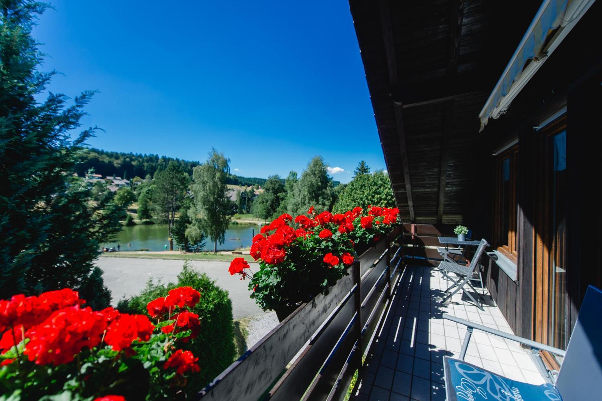 Ferienwohnungen Am Skilift Herrischried المظهر الخارجي الصورة