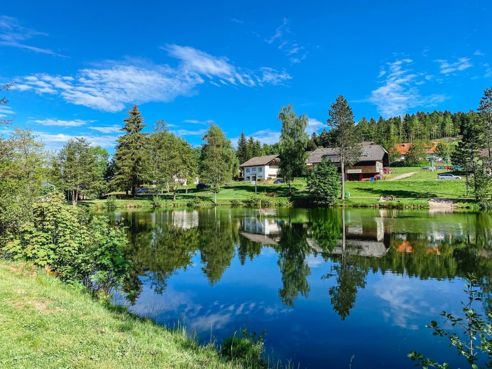 Ferienwohnungen Am Skilift Herrischried المظهر الخارجي الصورة