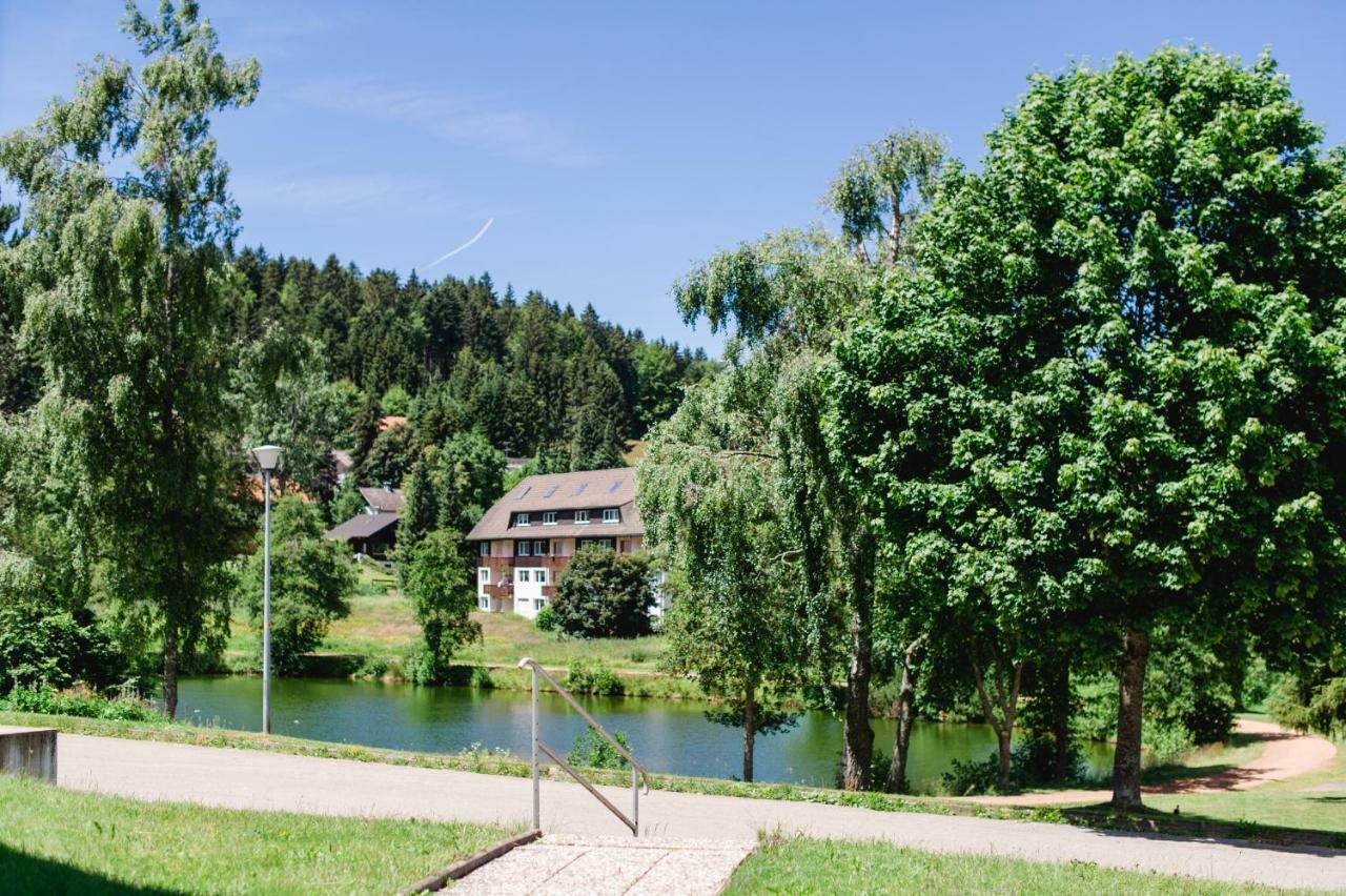 Ferienwohnungen Am Skilift Herrischried المظهر الخارجي الصورة