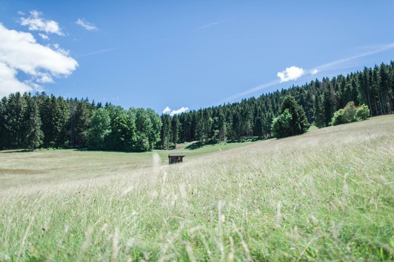 Ferienwohnungen Am Skilift Herrischried المظهر الخارجي الصورة