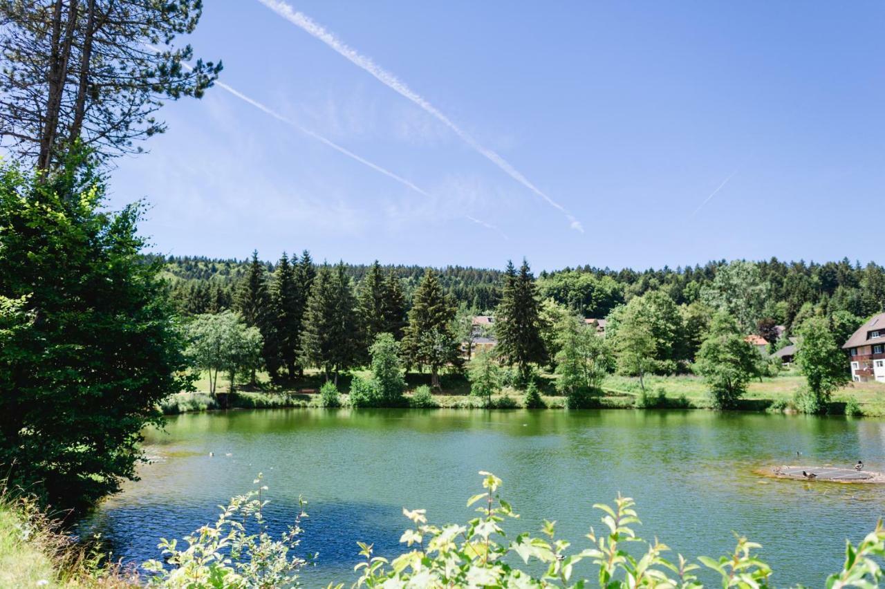 Ferienwohnungen Am Skilift Herrischried المظهر الخارجي الصورة