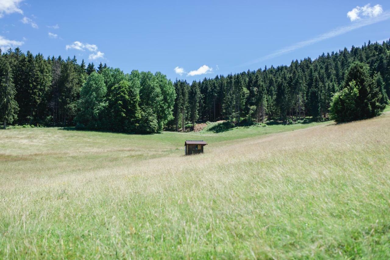 Ferienwohnungen Am Skilift Herrischried المظهر الخارجي الصورة
