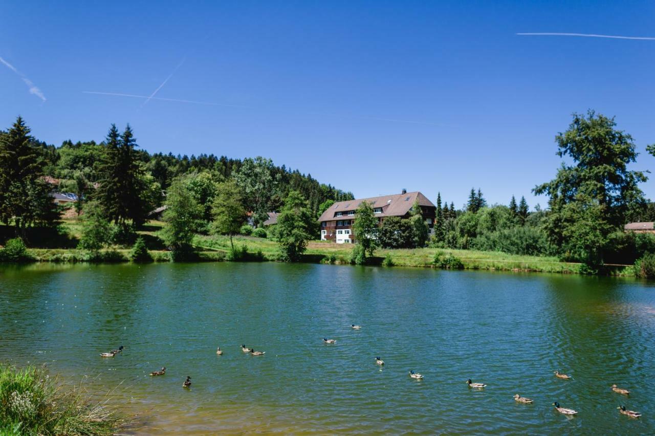 Ferienwohnungen Am Skilift Herrischried المظهر الخارجي الصورة