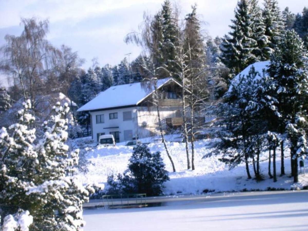 Ferienwohnungen Am Skilift Herrischried المظهر الخارجي الصورة